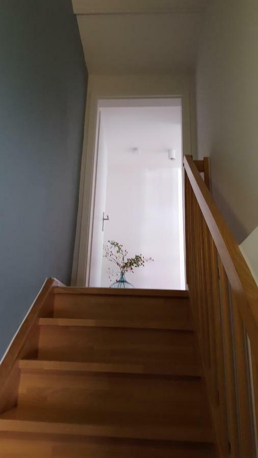 Haus Zum Wilden Manne Villa Erfurt Luaran gambar